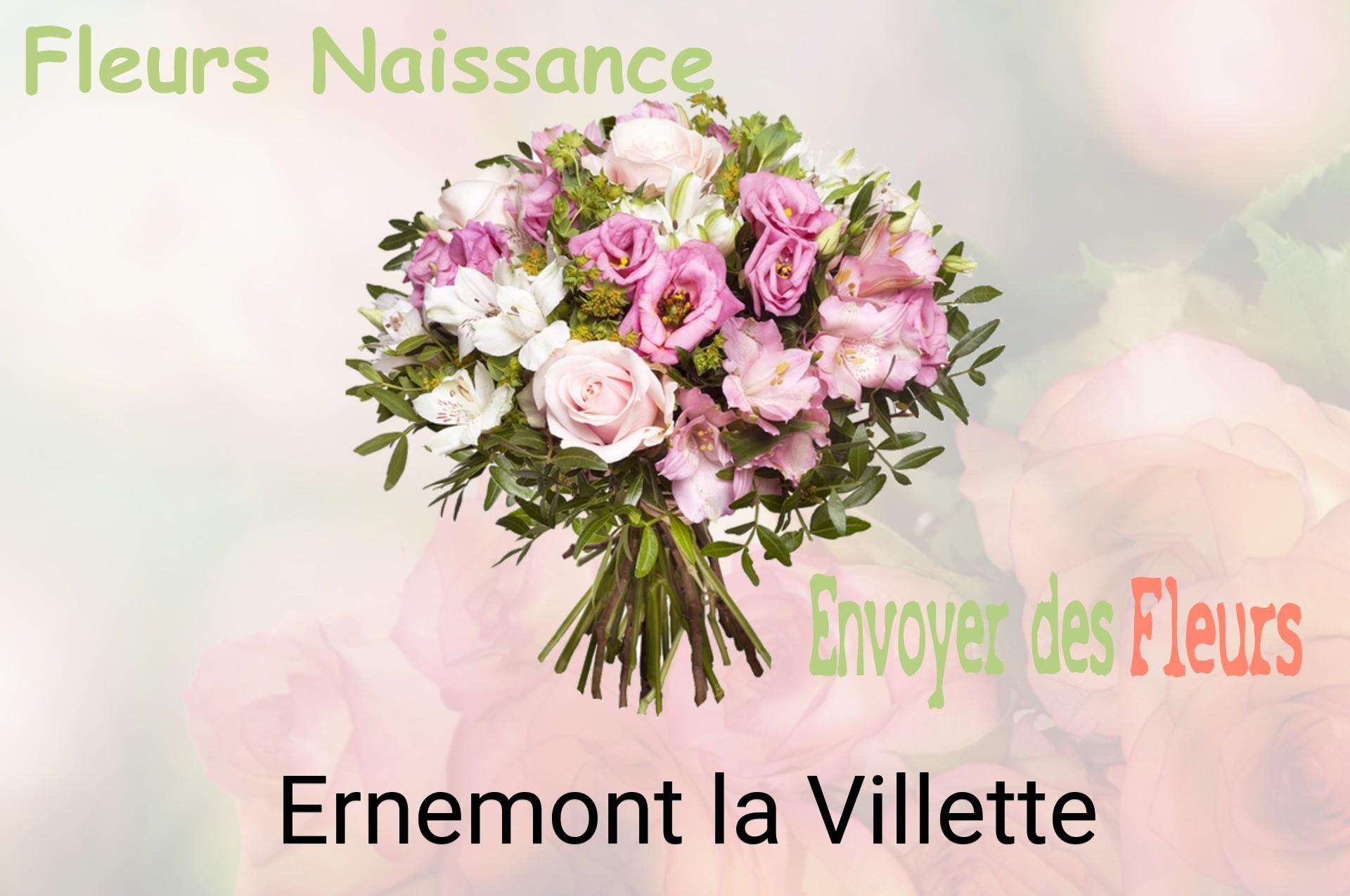 Bouquet de fleurs de naissance livré à Ernemont-la-Villette